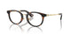 3002 - Brown