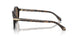 623573 - Tortoise - Dark Brown