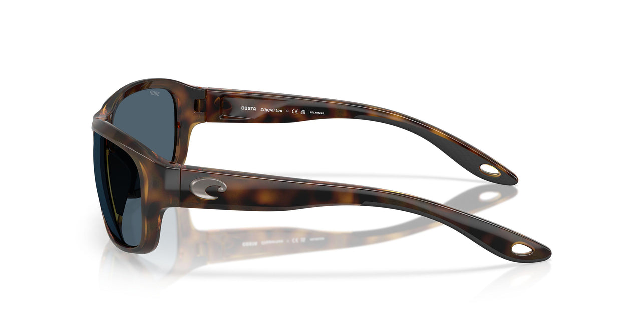 911910 - Tortoise - Gray