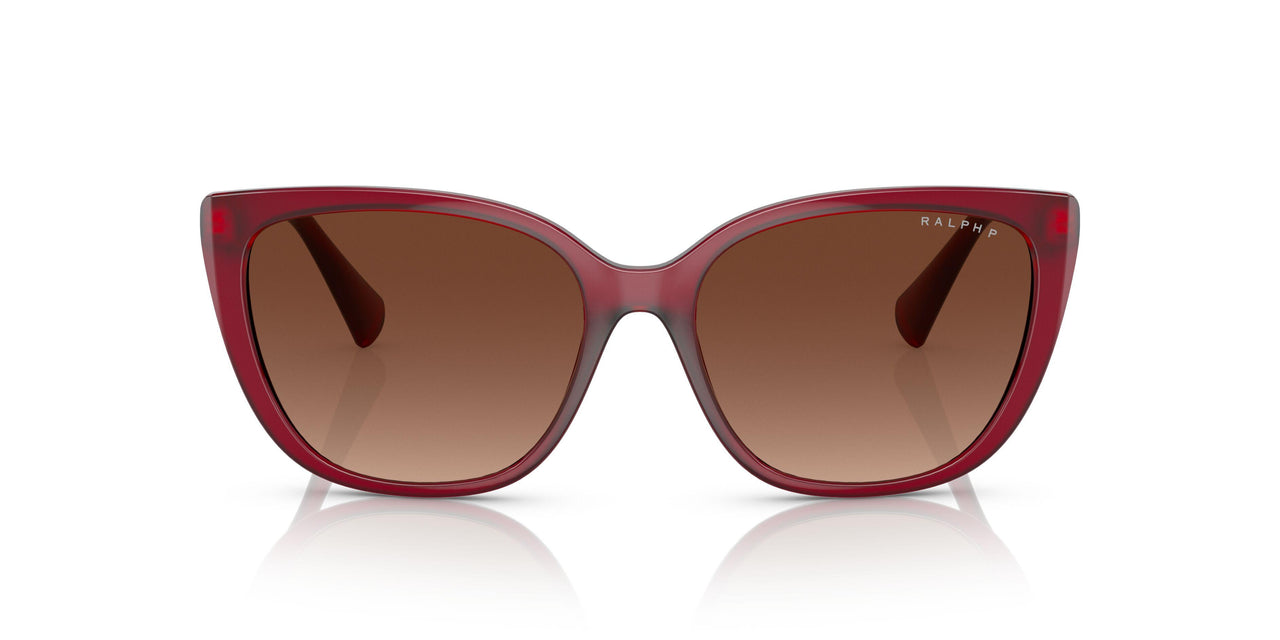 5800T5 - Bordeaux - Polar Light Brown Gradient