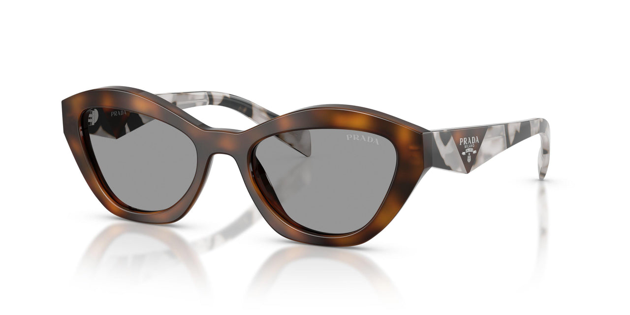 20D50Q - Havana - Grey