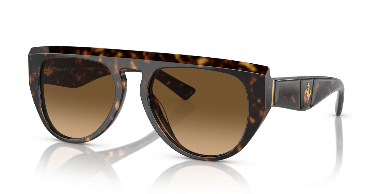 702/M2 - Tortoise - Polarized Brown Gradient