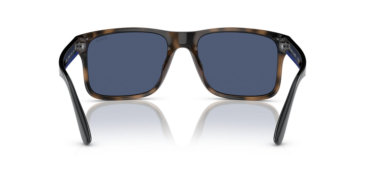 597480 - Brown - Blue