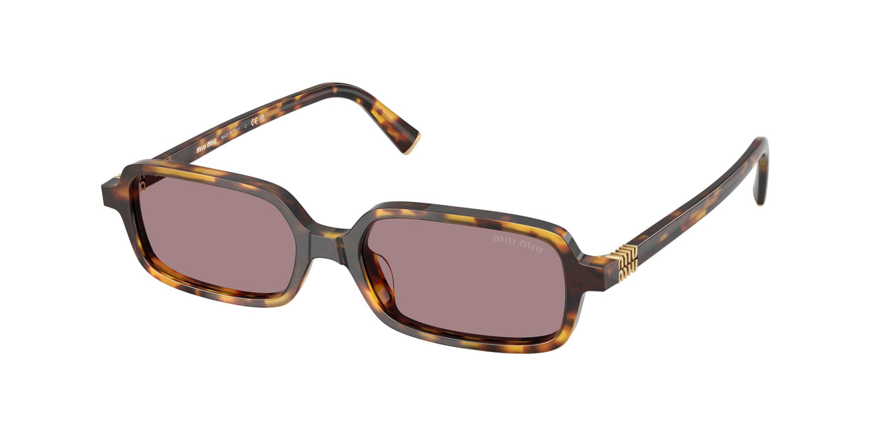 14L20I - Tortoise - Light Purple Brown