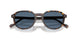 W65680 - Brown - Dark Blue