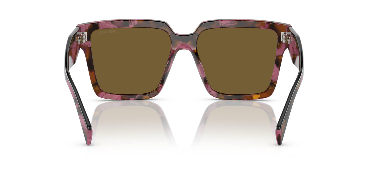 18N01T - Brown - Dark Brown