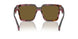 18N01T - Brown - Dark Brown