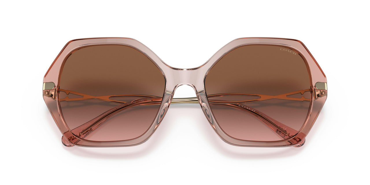 564013 - Orange - Brown Rose Gradient