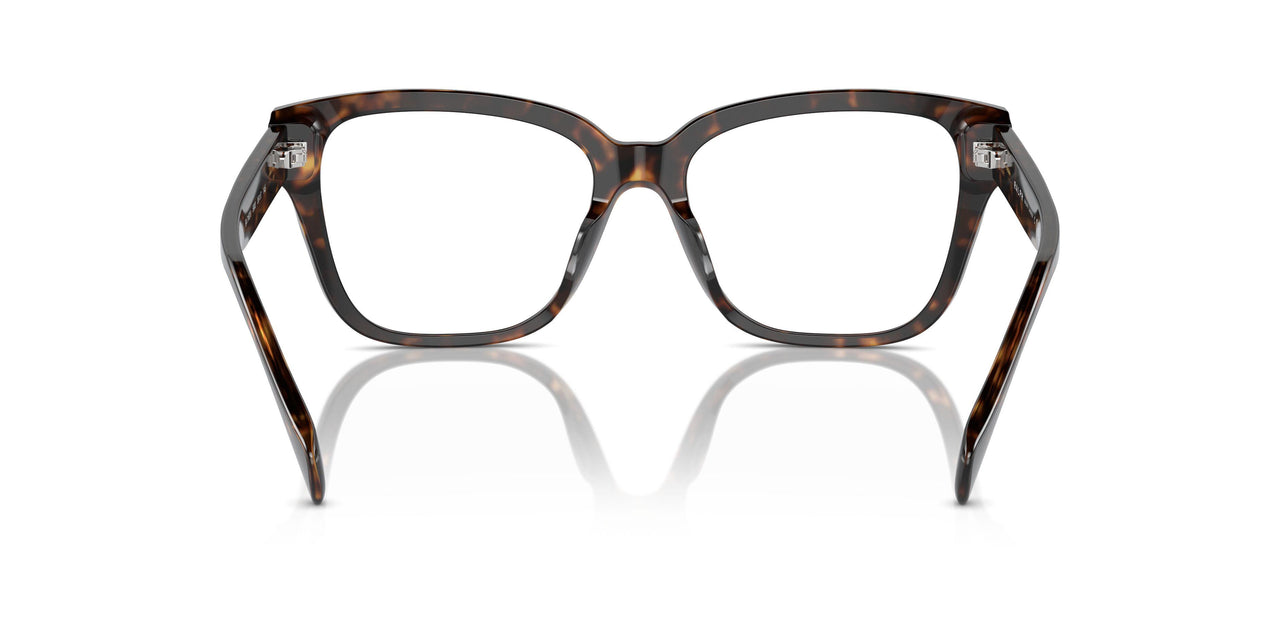 5003 - Brown