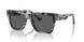 343587 - Tortoise - Dark Grey