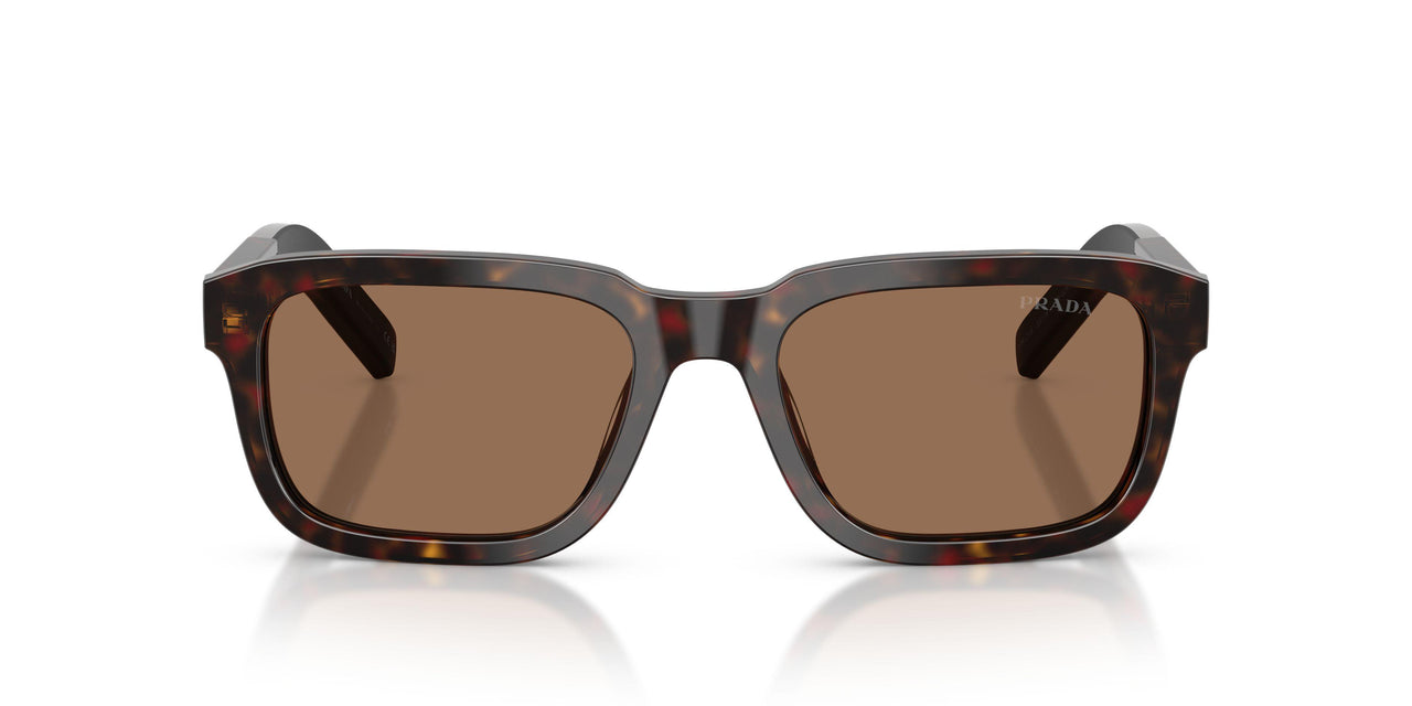 17N60M - Tortoise - Dark Brown