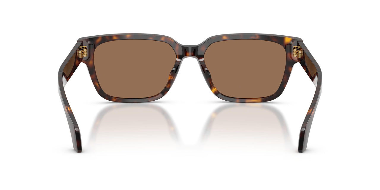 108/73 - Tortoise - Dark Brown