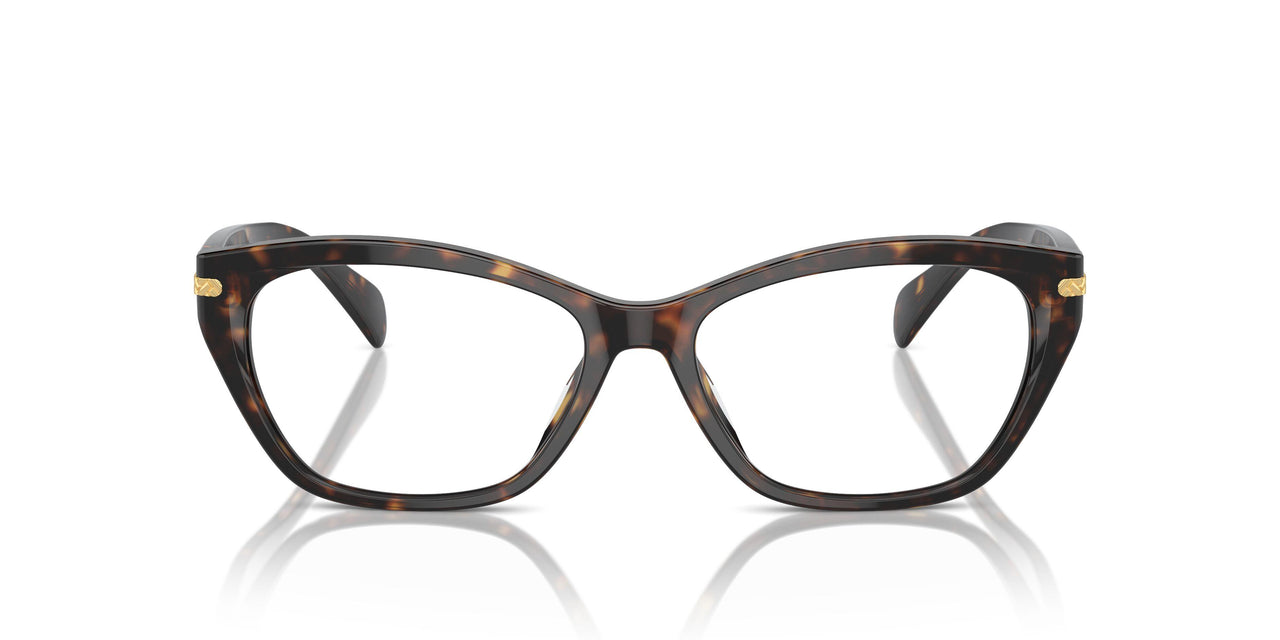 5003 - Brown