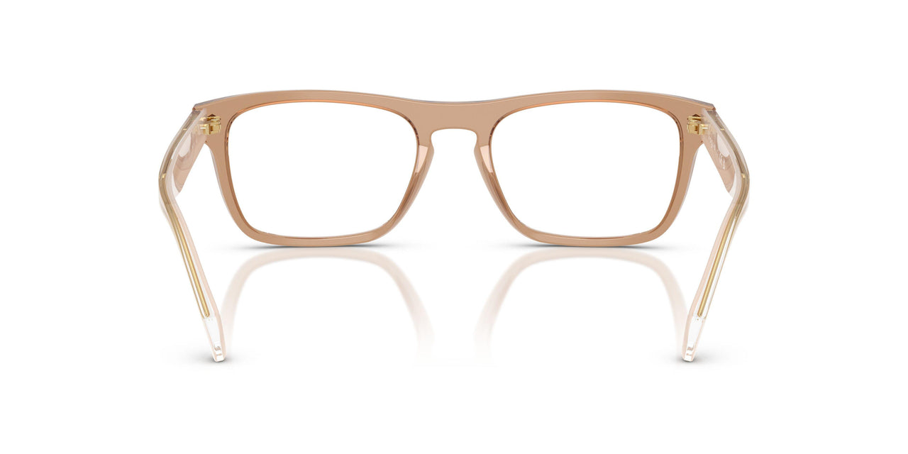 3189 - Brown