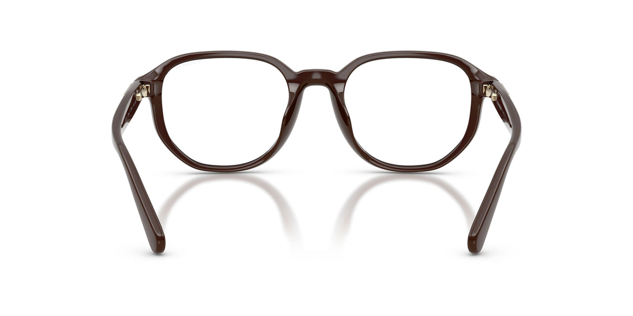 597782 - Brown - Green Solid
