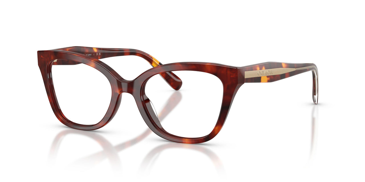 5938 - Tortoise