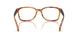 3011 - Tortoise