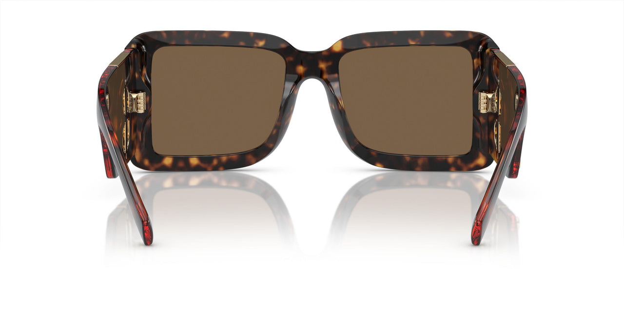 300273 - Brown - Dark Brown