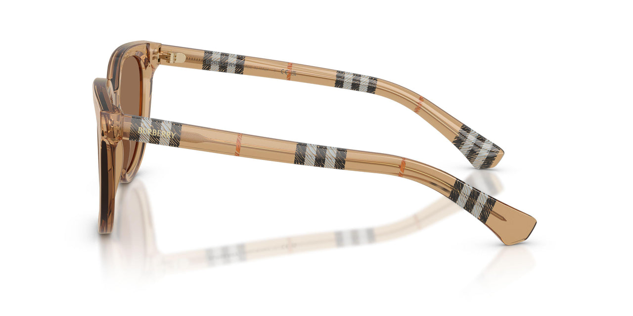 416473 - Beige - Dark Brown