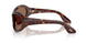 100773 - Tortoise - Brown