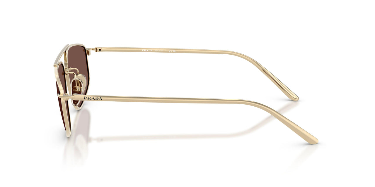 ZVN80T - Gold - Black Chocolate