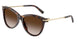 80153B - Tortoise - Brown Gradient