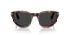24/48 - Tortoise - Polar Dark Grey