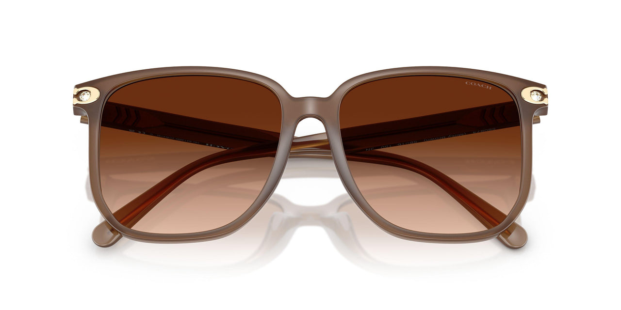 580874 - Brown - Brown Gradient