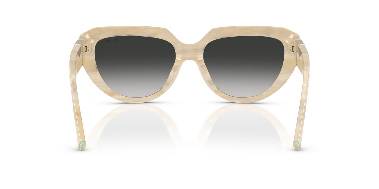 84313C - Beige - Grey Gradient