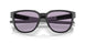 925011 - Black - Prizm Slate
