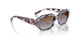 320148 - Blue - Azure Gradient Pink Gradient Brown