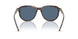 500380 - Tortoise - Dark Blue