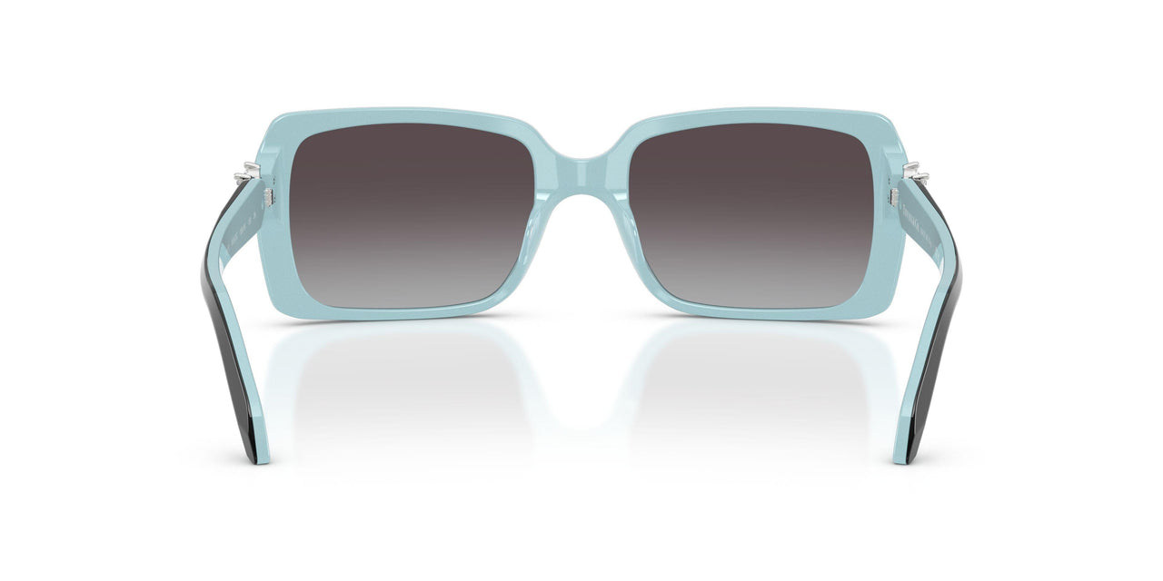 80553C - Black - Gray Gradient