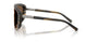 306373 - Tortoise - Brown