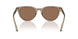 505173 - Brown - Dark Brown