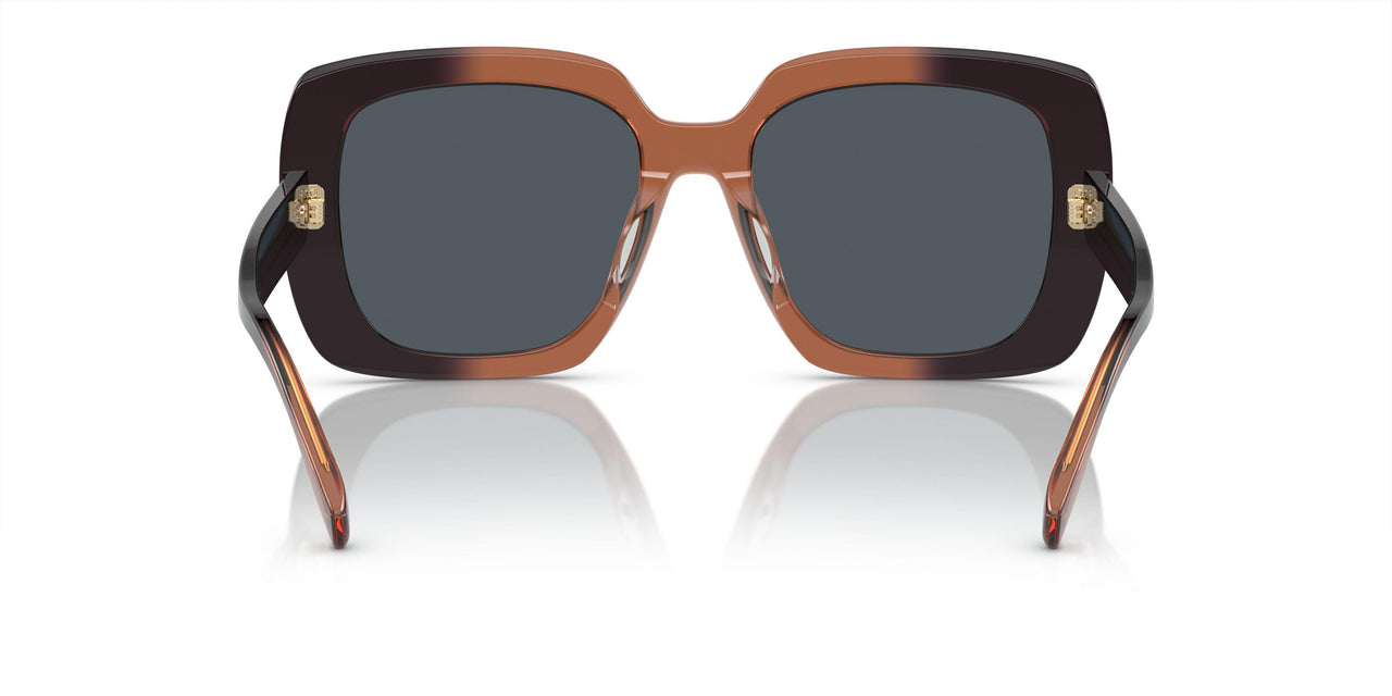 19405A - Black/white Tortoise - Light Brown Mirror Gold