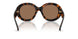 300273 - Tortoise - Brown