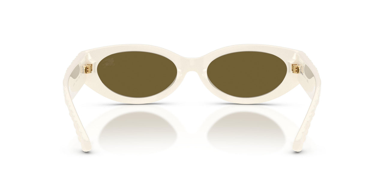 421873 - White - Dark Brown