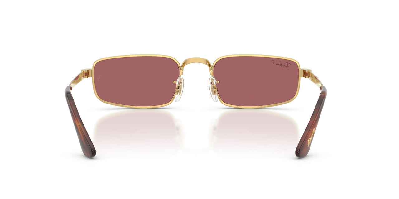 001/AF - Gold - Purple Polarized
