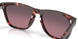 201407 - Tortoise - Rose Gradient