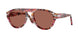 1220H2 - Multicolor - Brown