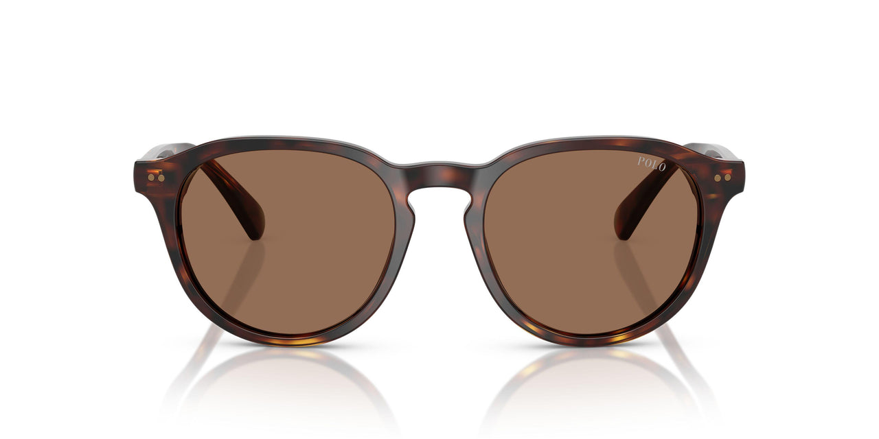 613773 - Tortoise - Dark Brown