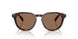 613773 - Tortoise - Dark Brown