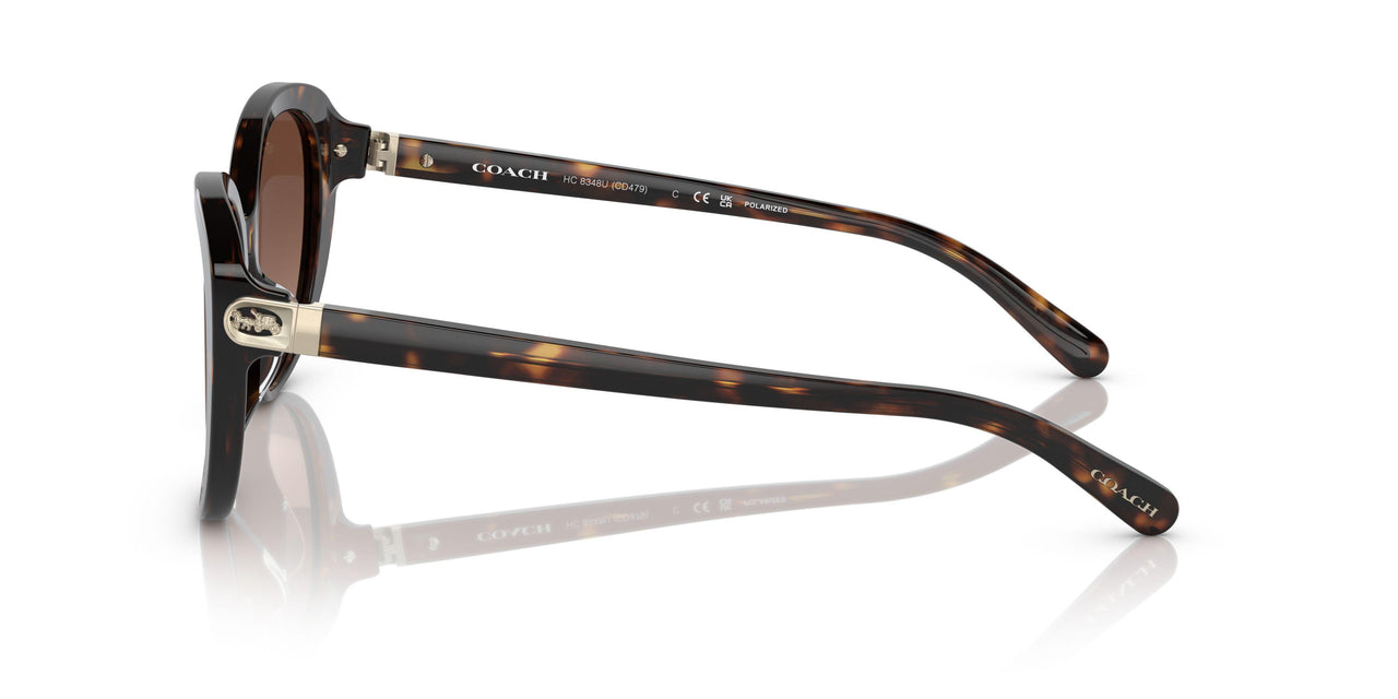 5120T5 - Havana - Brown Gradient Polar