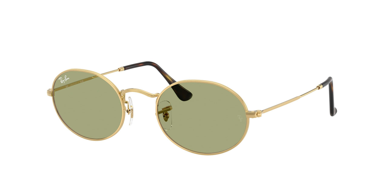 Ray-Ban Oval 3547 Sunglasses