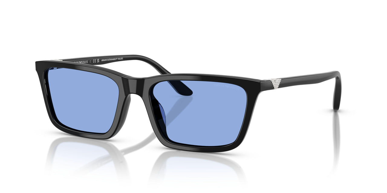 501780 - Black - Blue