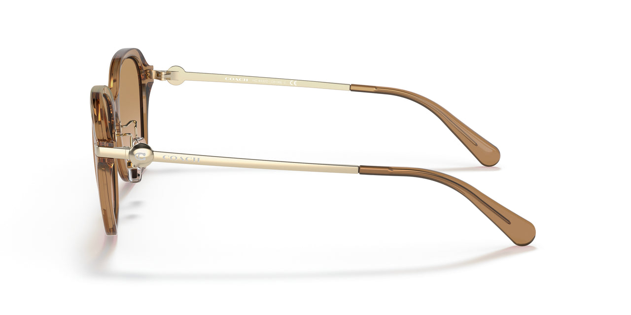 565413 - Brown - Brown Gradient