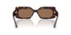 500273 - Tortoise - Dark Brown
