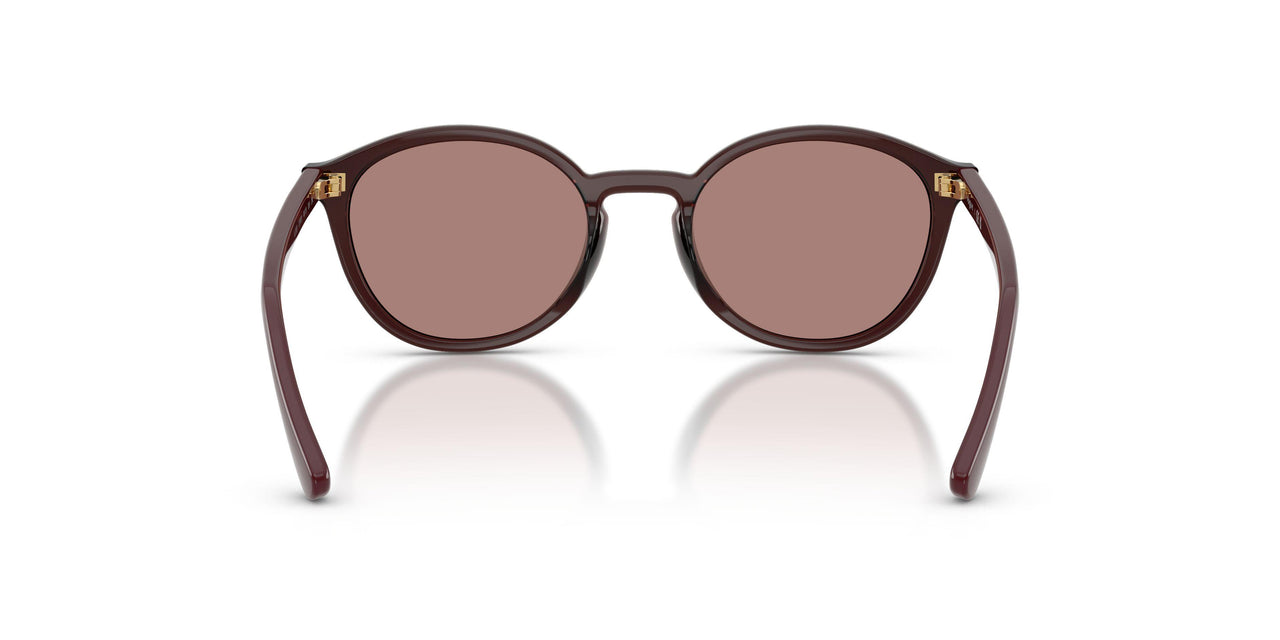 327073 - Red - Light Brown