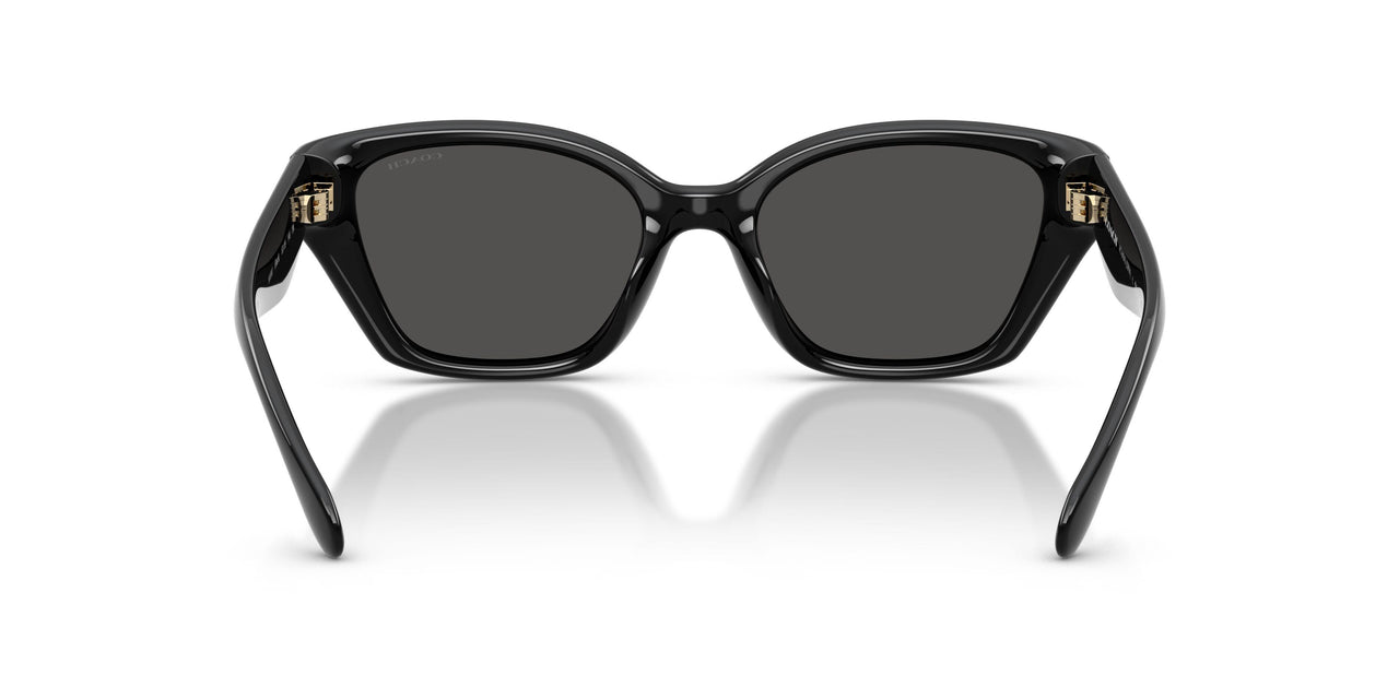 500287 - Black - Grey Solid